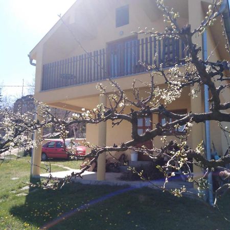 Dedinje Vila Jagodina Exterior foto