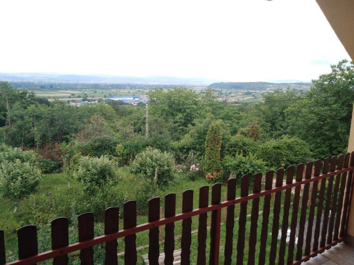 Dedinje Vila Jagodina Exterior foto